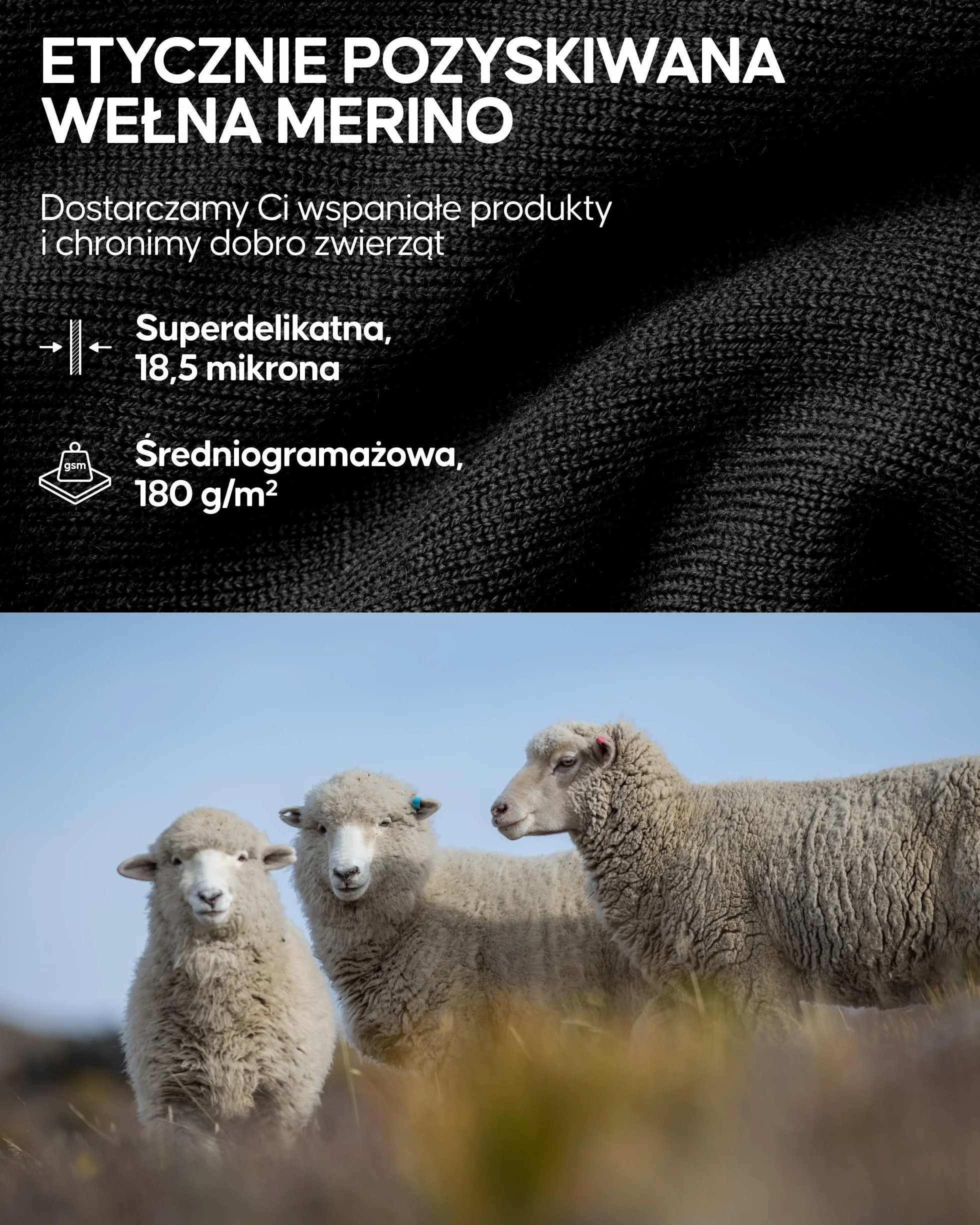 DANISH ENDURANCE Bielizna Merino Termoaktywna Męska, Koszulka Termiczna Męska, Długi Rękaw, Wełna Merino, z Zamkiem lub Bez Zamka