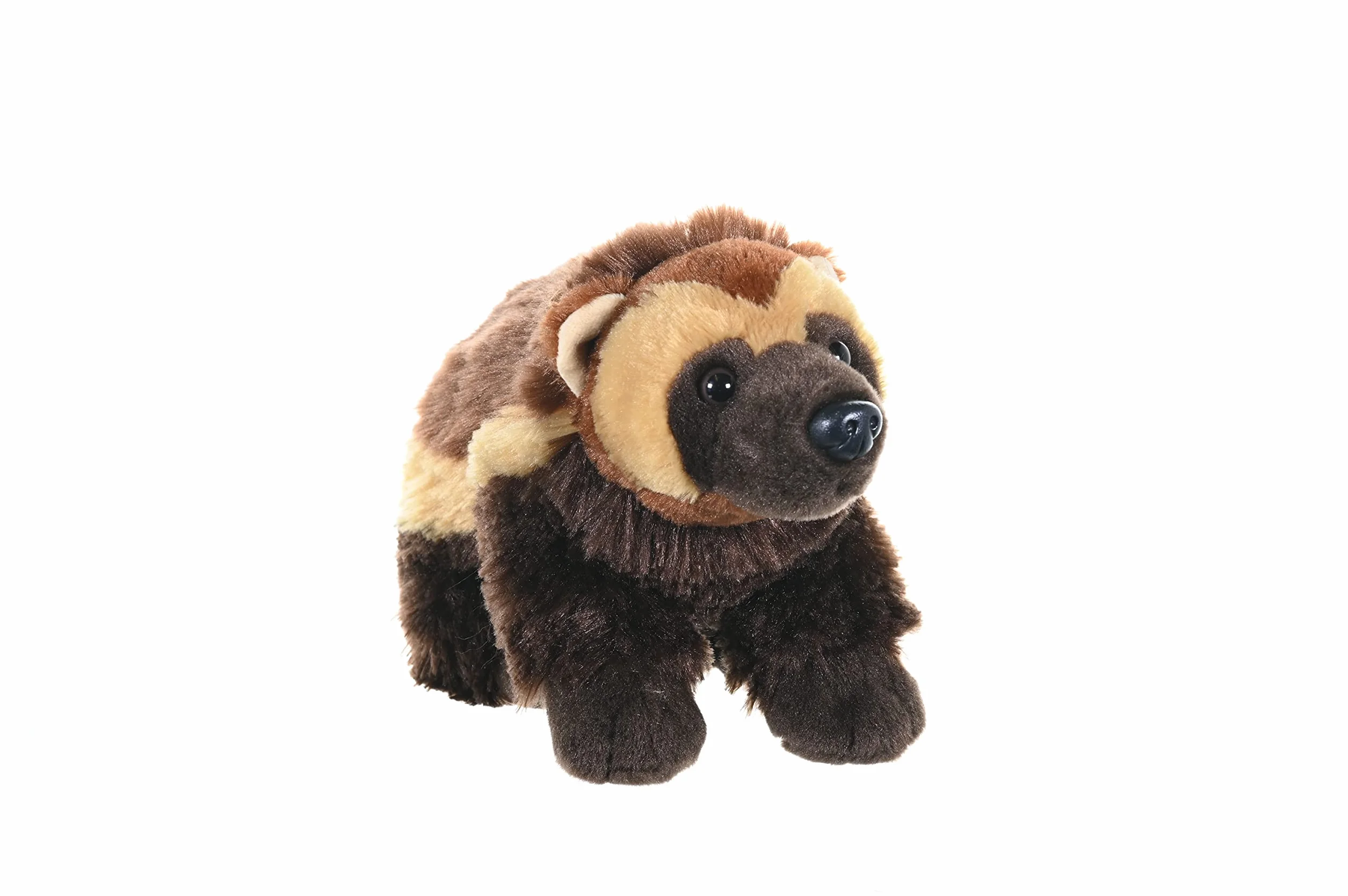Wild Republic 12260 Dzik pluszowe zwierzątko, Cuddlekins Kuscheliter, pluszak, 30 cm, brązowy
