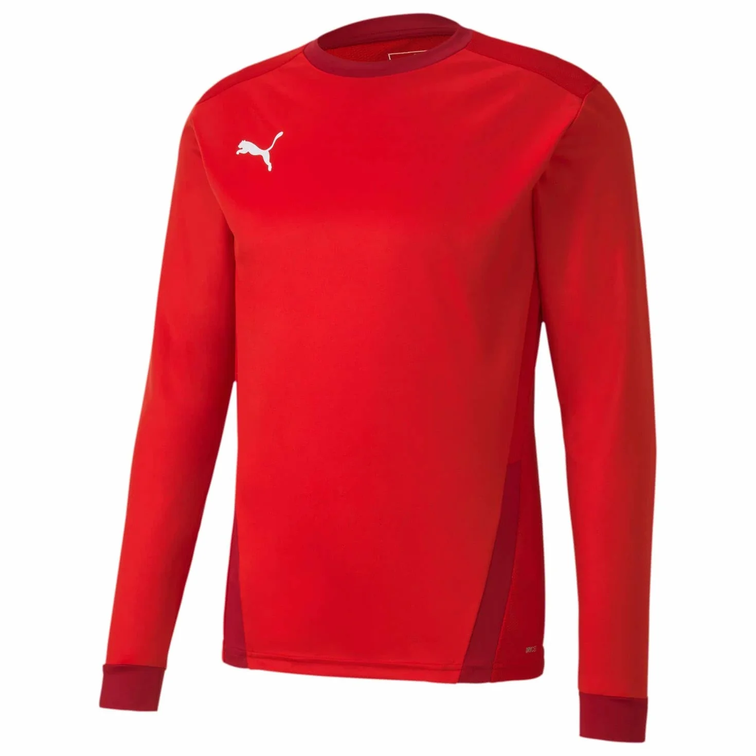 PUMA teamGOAL 23 Jersey LS