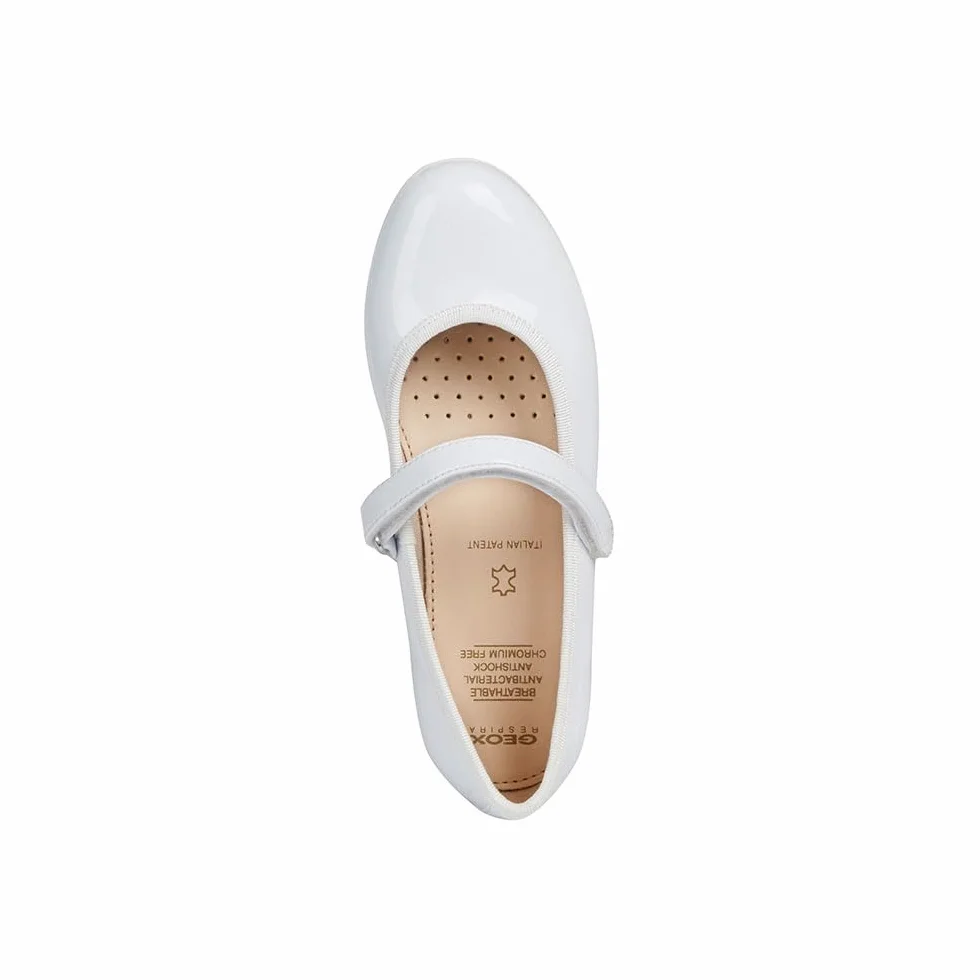 Geox Kobiety Jr Plie' ABALLERINA