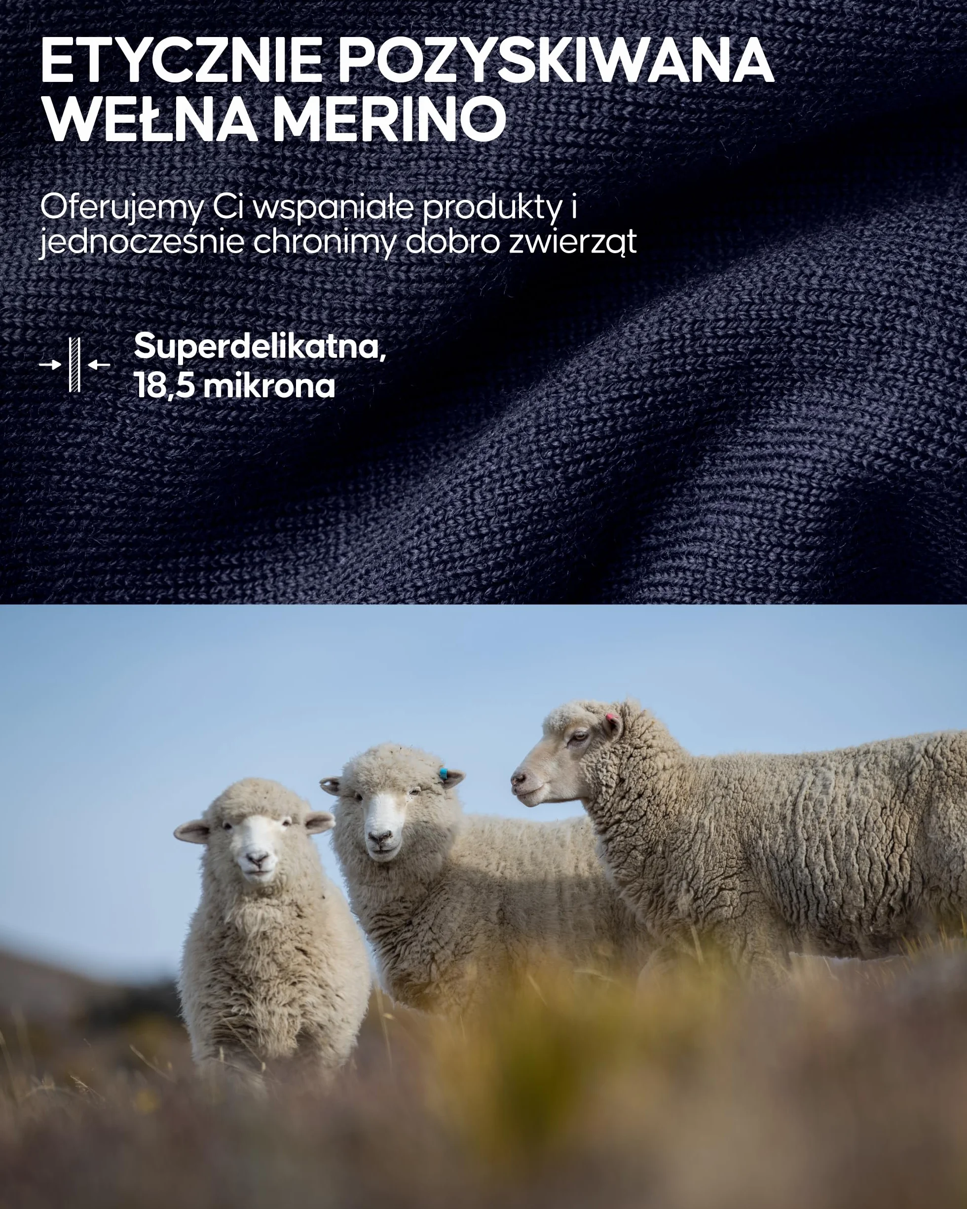 DANISH ENDURANCE Wełniana Czapka Merino, Ciepła Beanie, Materiał Premium, Oddychająca, Sportowa, Dla Mężczyzn i Kobiet