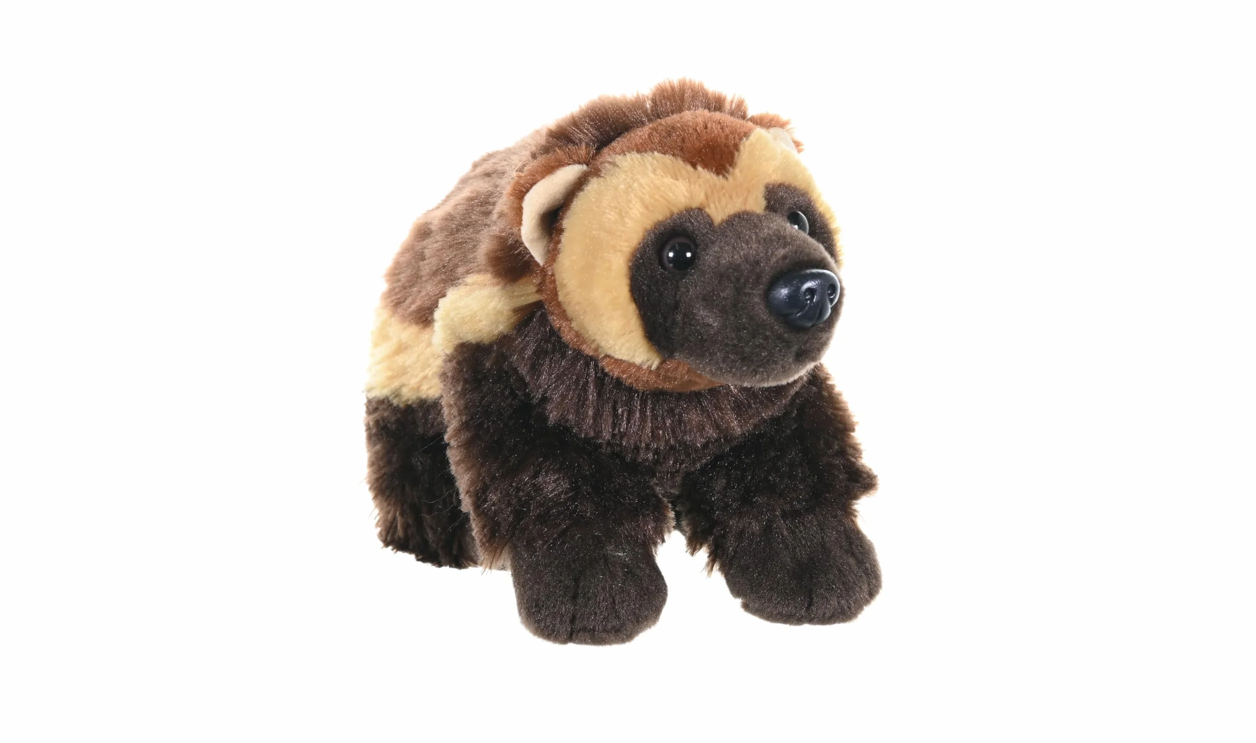 Wild Republic 12260 Dzik pluszowe zwierzątko, Cuddlekins Kuscheliter, pluszak, 30 cm, brązowy