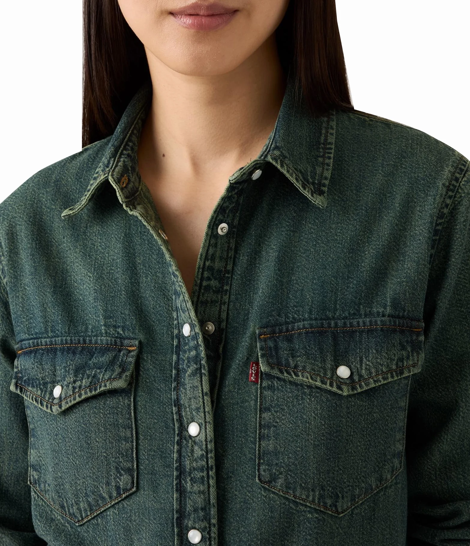 Levi's Iconic Western Verdant Ventures Top, Verdant Ventures Top, XL