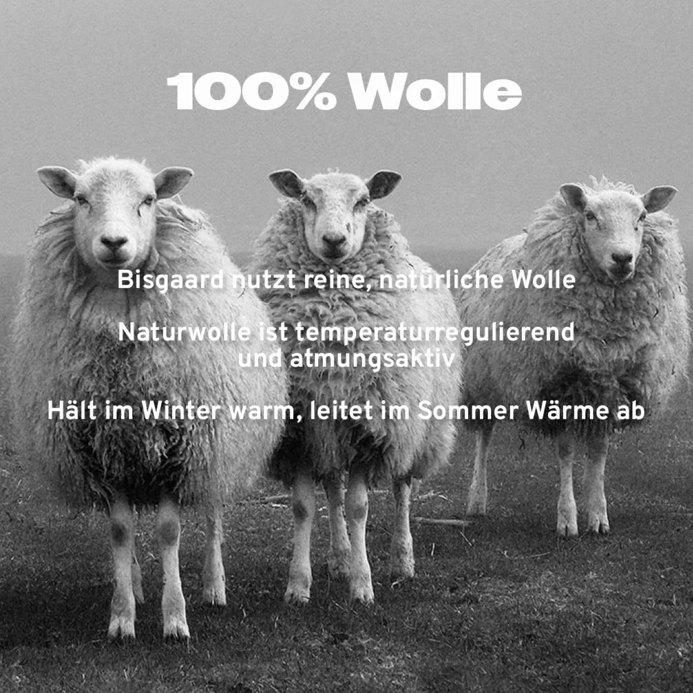Bisgaard Uniseks - dzieci Wool SailorMokasyn