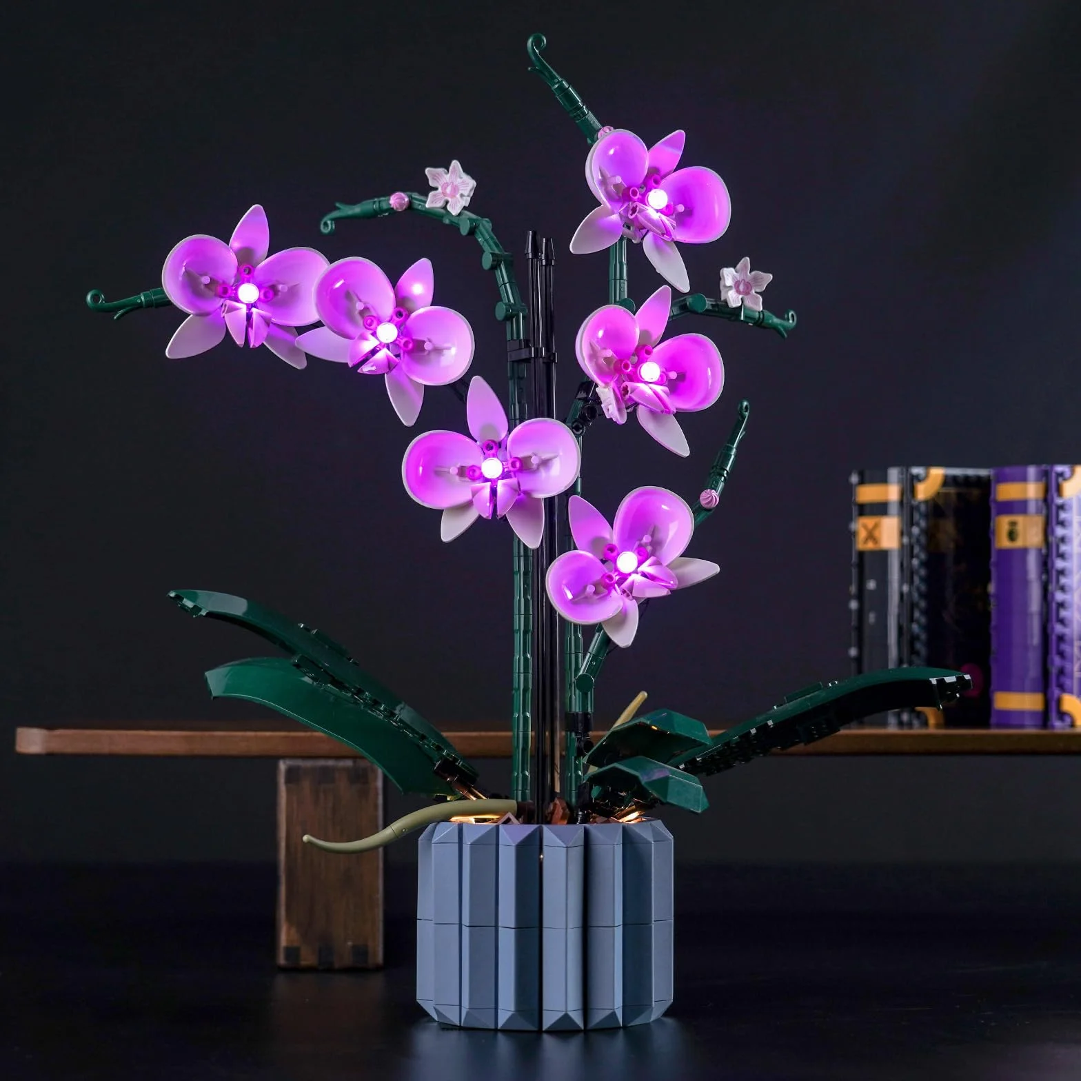 Zestaw oświetleniowy LED Tylko do LEGO Orchidea 10311, kolekcja botaniczna, nie model LEGO, + 12 miesięcy