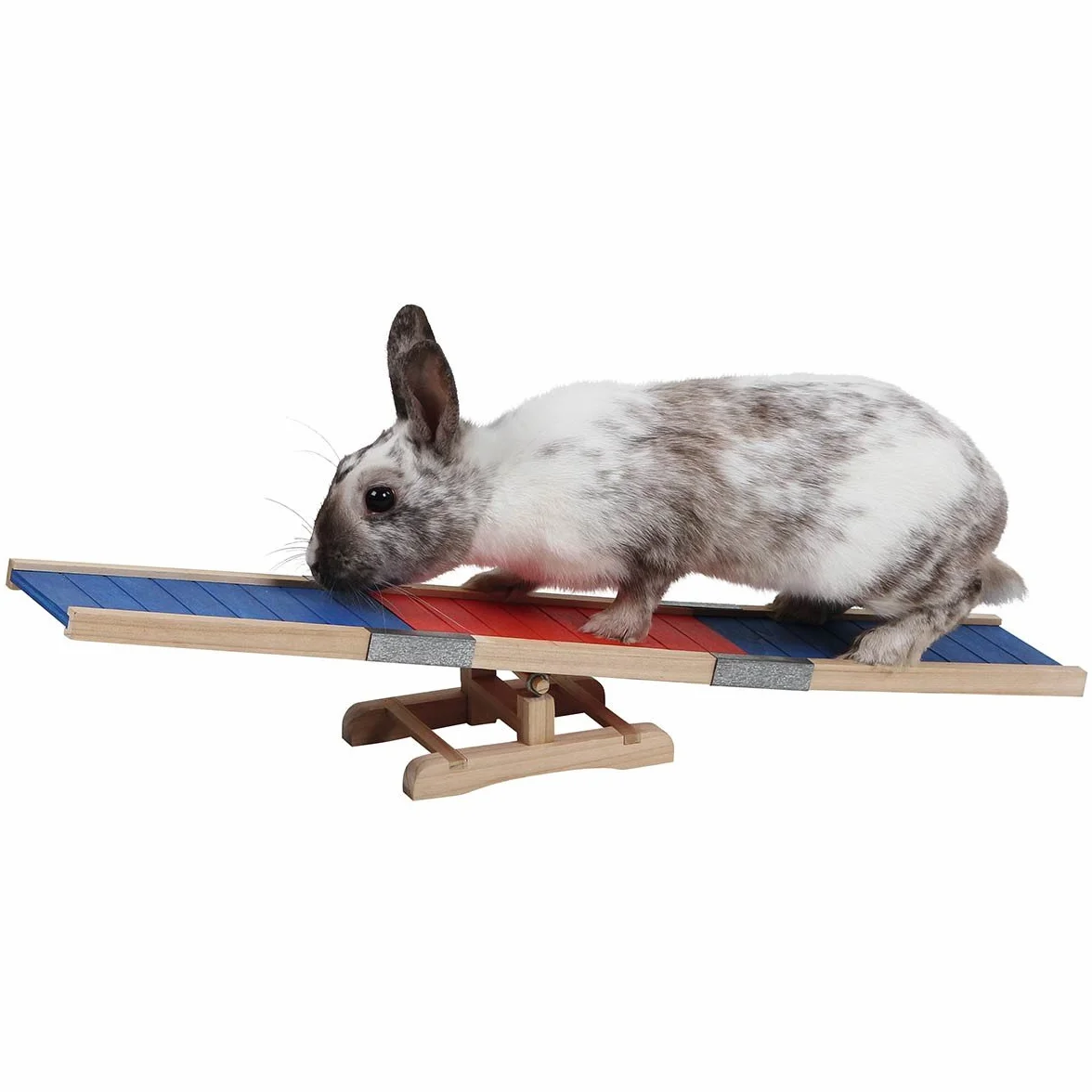 Kerbl Agility Rocker, 60 x 18 x 12 cm