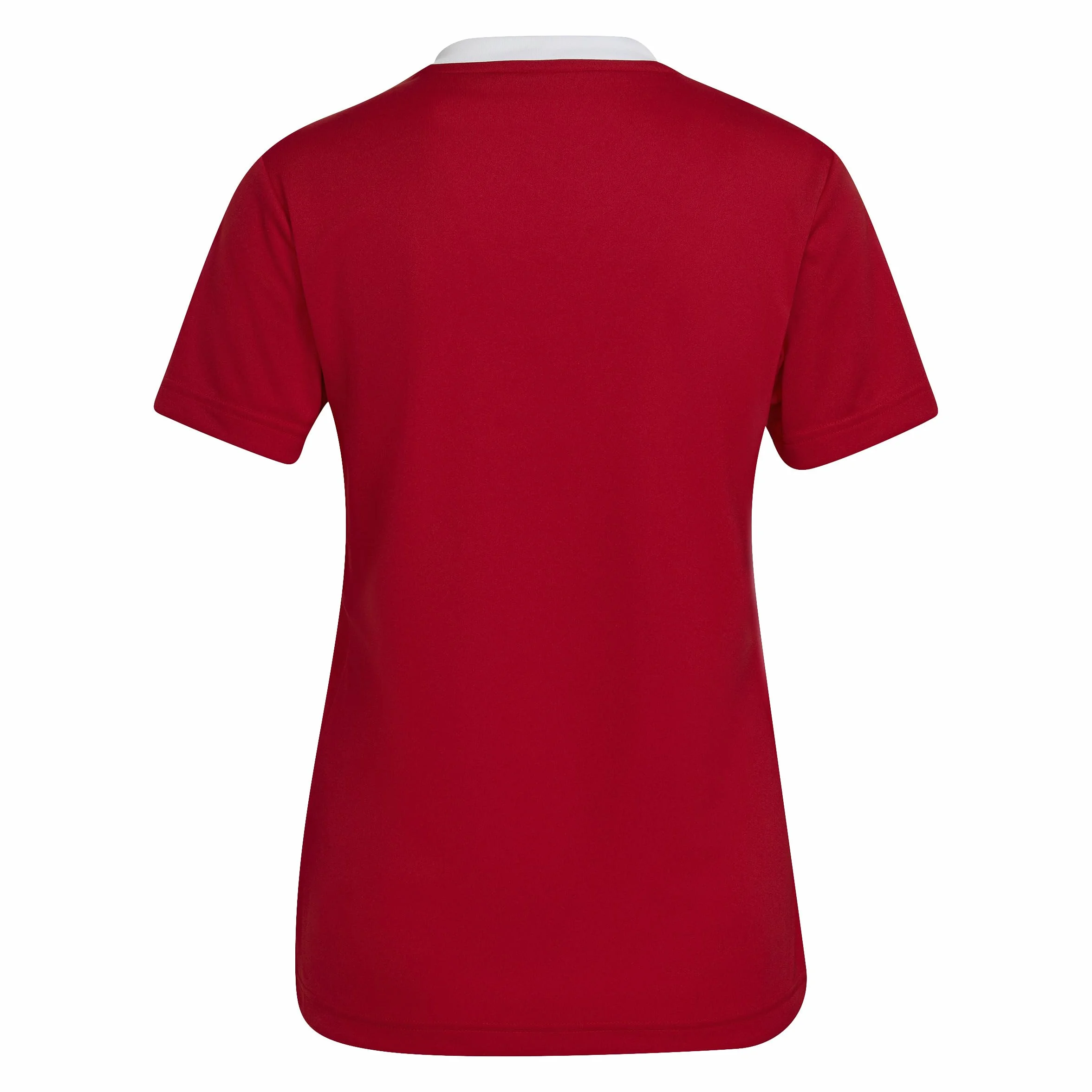 ADIDAS Ent22 Jsy W T-Shirt damski
