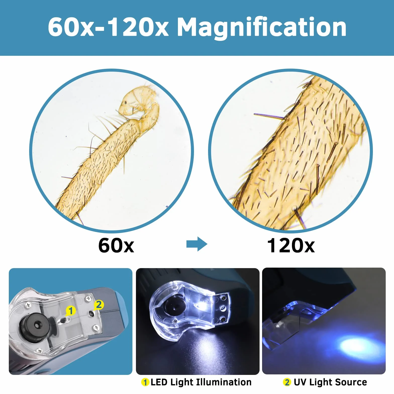 BEBANG Mikroskop kieszonkowy 60x-120x z podświetleniem LED Zoomem, 5 pojemników na narzędzia, przenośny dla dzieci i uczniów