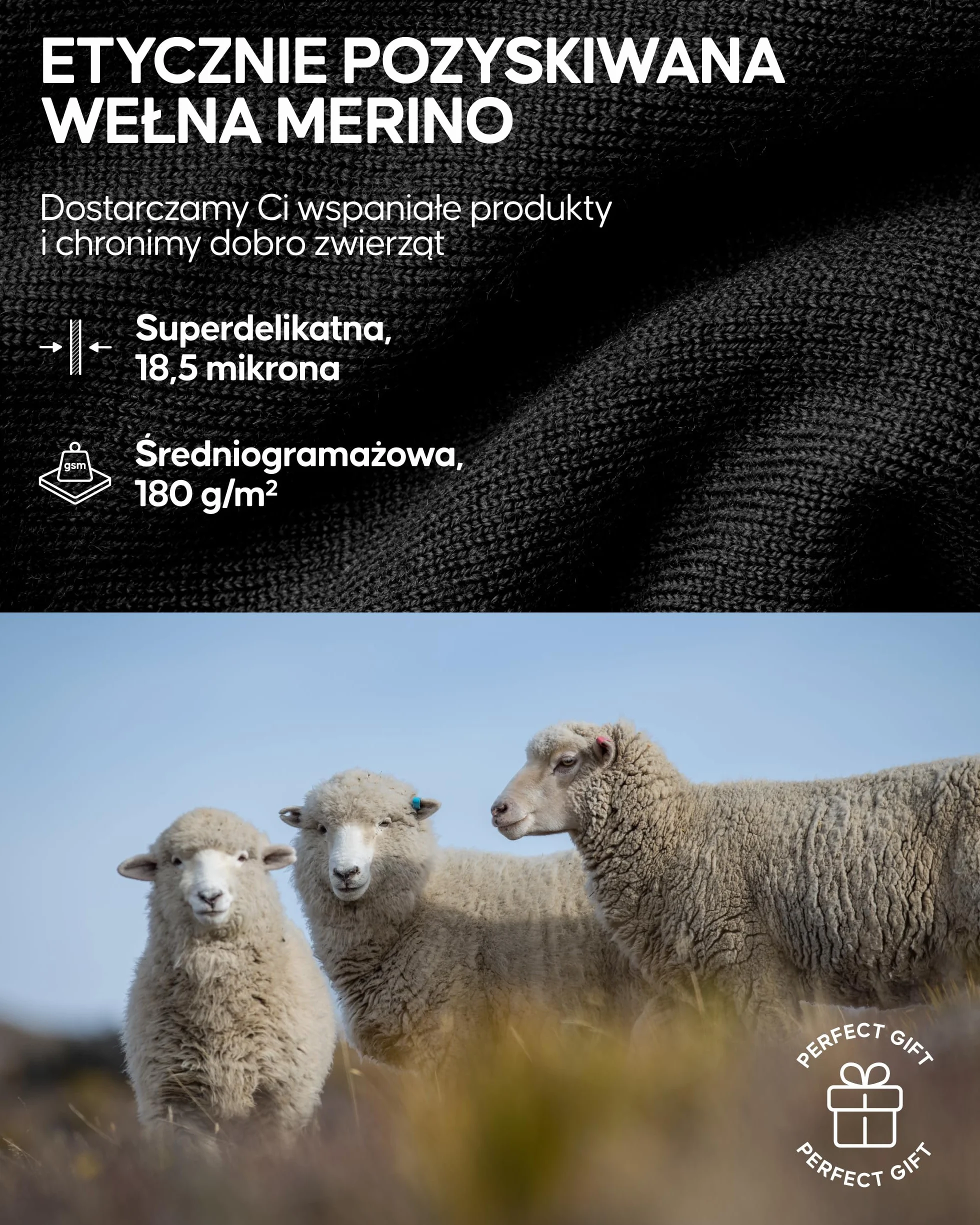 DANISH ENDURANCE Damskie Legginsy Termiczne z Wełny Merino, Damska Bielizna Termoaktywna, Damskie Legginsy Zimowe z Warstwą Bazową
