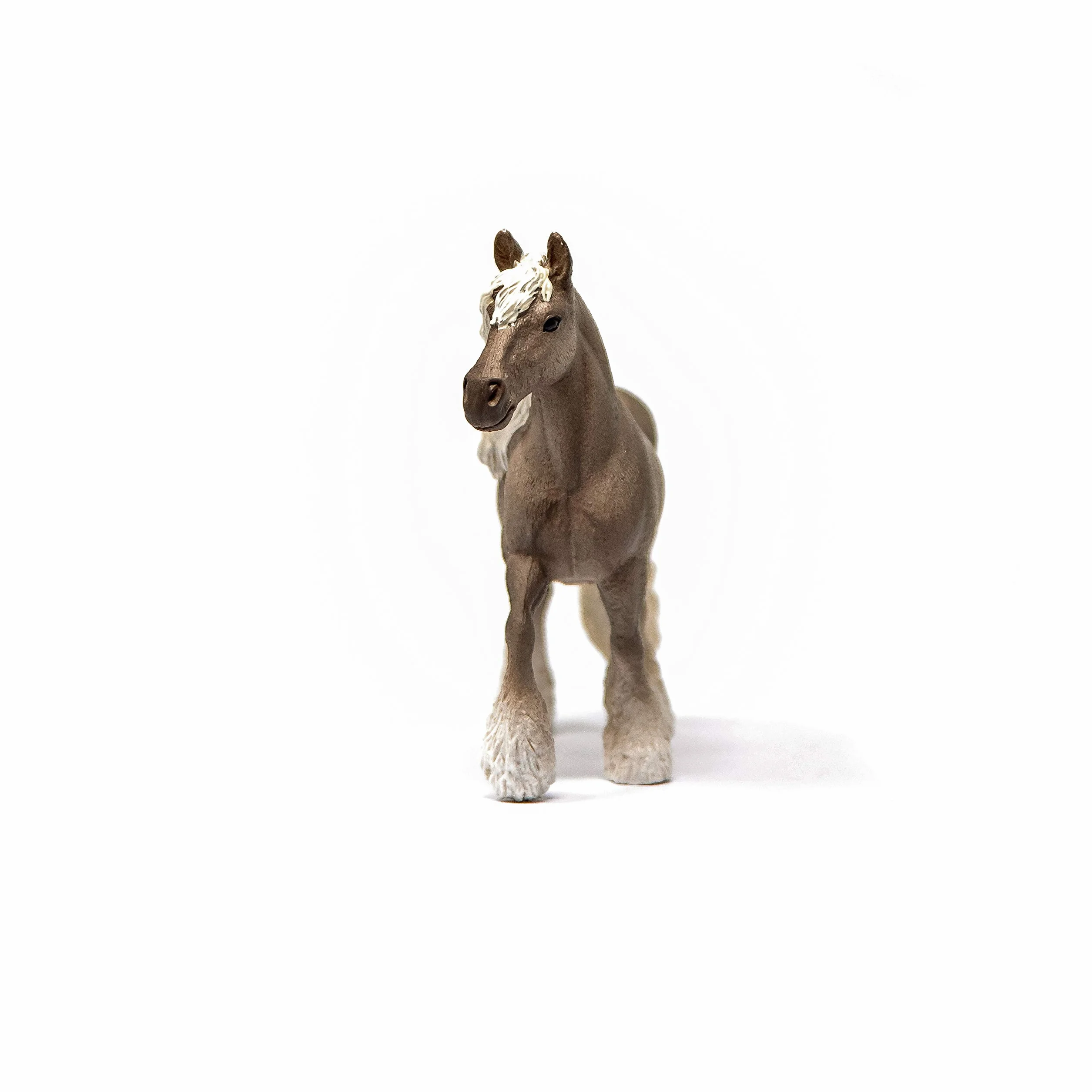 Klacz rasy silver dapple