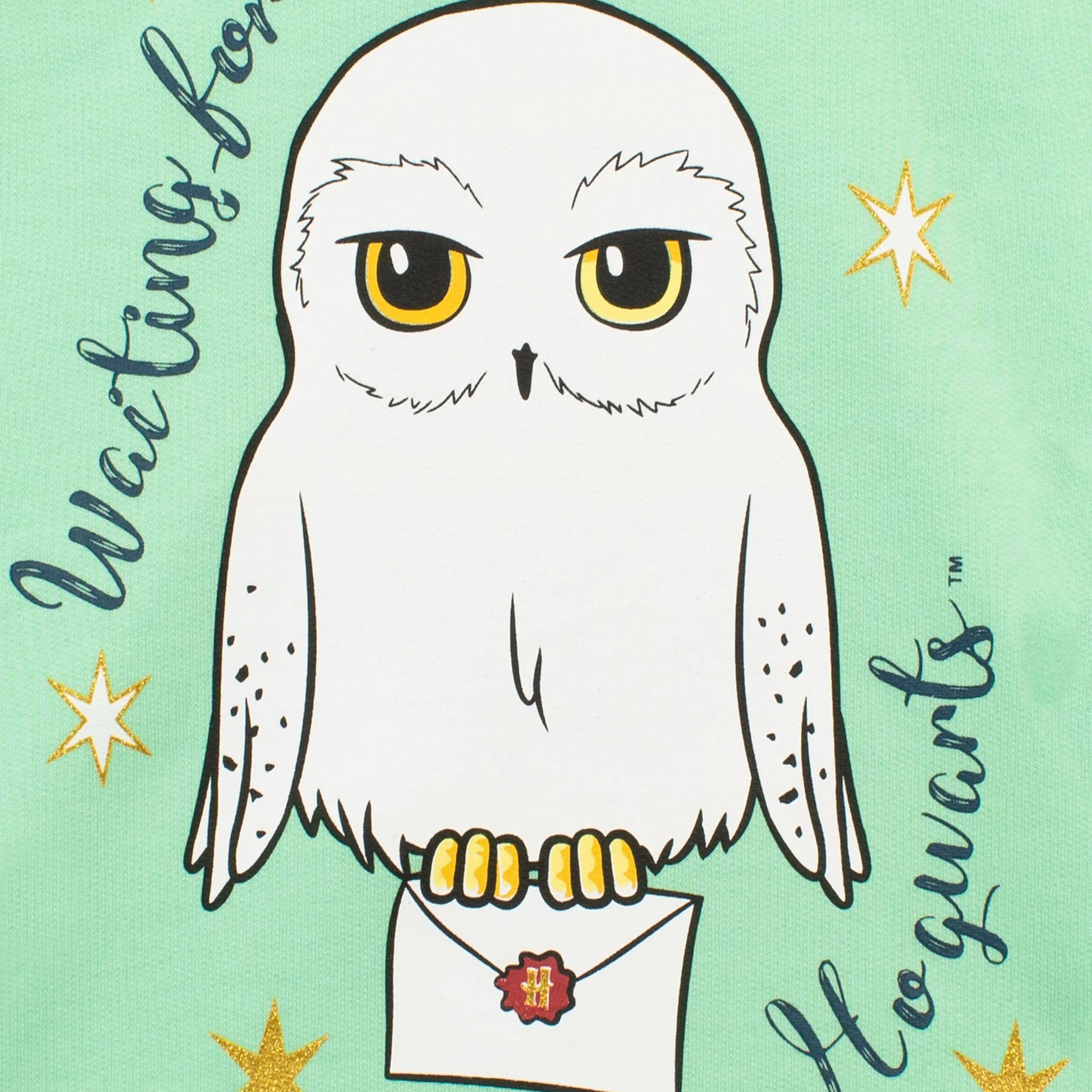 Harry Potter Dziewczynki Bluzy Hedwig