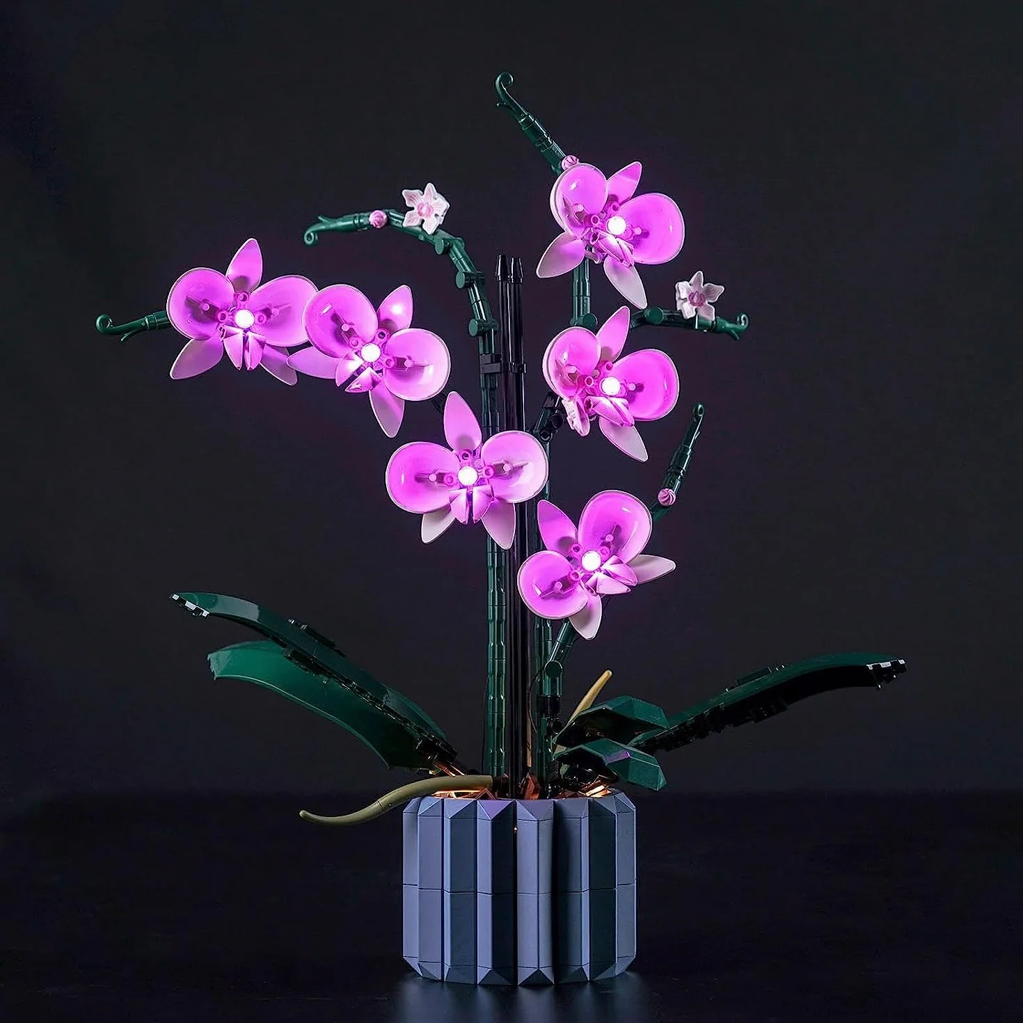 Zestaw oświetleniowy LED Tylko do LEGO Orchidea 10311, kolekcja botaniczna, nie model LEGO, + 12 miesięcy